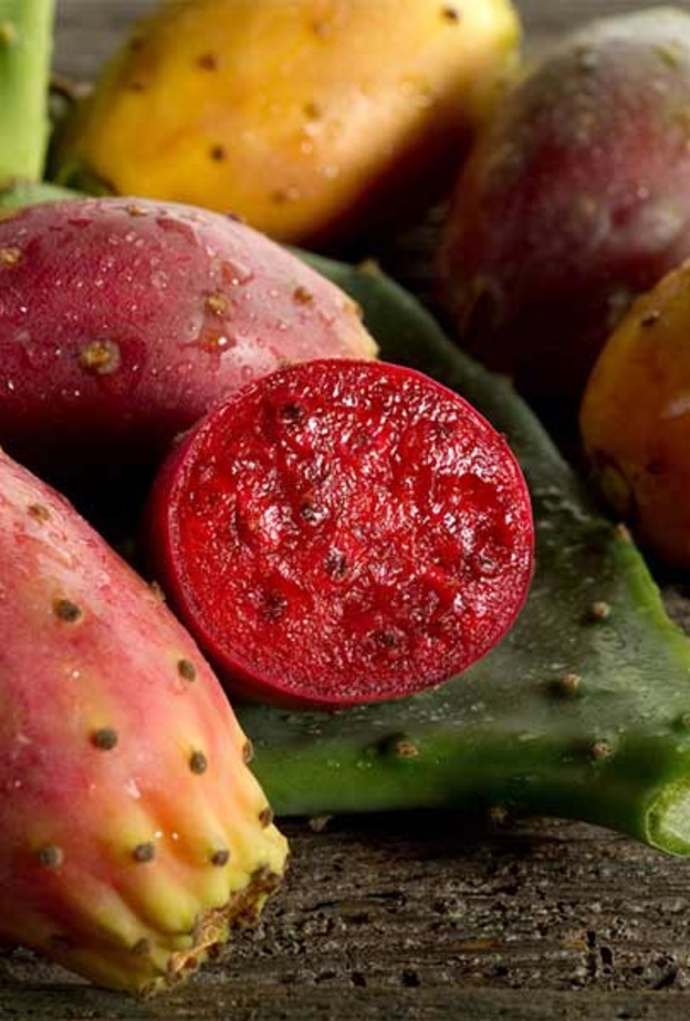 التين الشوكي يقوي مناعة الجسم ضد الأمراض