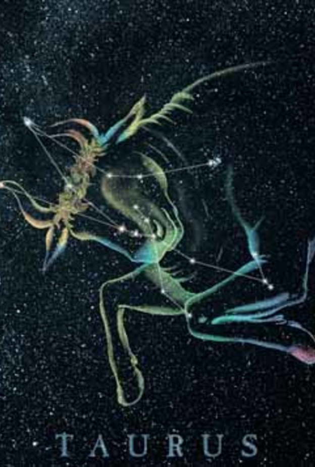 مولود الثور مميّز بقوة شخصيته وصبره لكنه يمتلك بعض العيوب