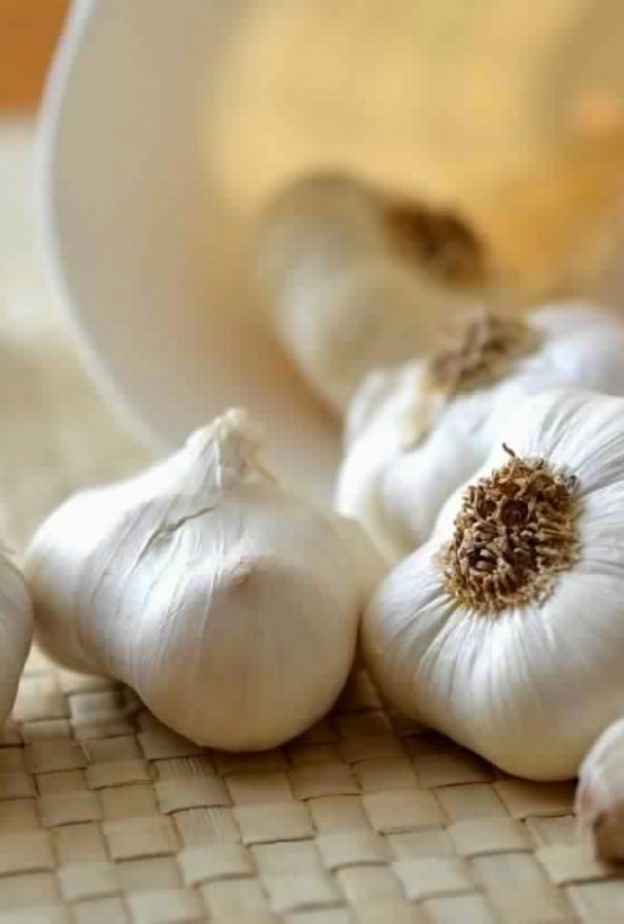 الثوم يحمي من أمراض السرطان