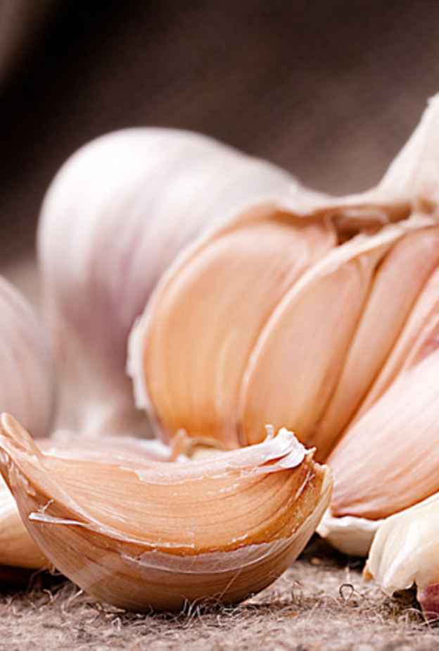 الثوم يرفع مناعة الجسم ضد الأمراض