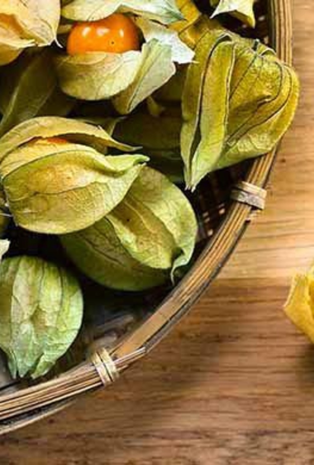 الحرنكش يحمي القلب من الأمراض