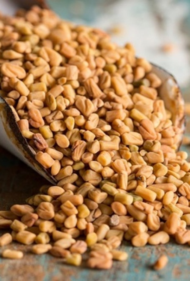 فوائد الحلبة للرجيم رائعه