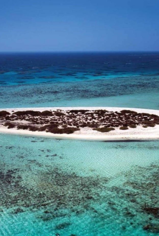 تجربة فريدة في أعماق البحر.