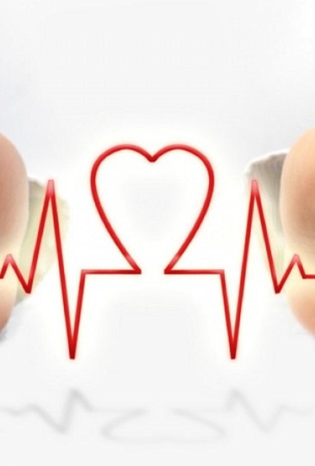 فوائد الكوليسترول للنساء