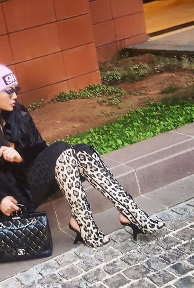 هيفاء وهبي تختار بوتات عصرية عالية الساق مع أقمشة النمر الفاخرة