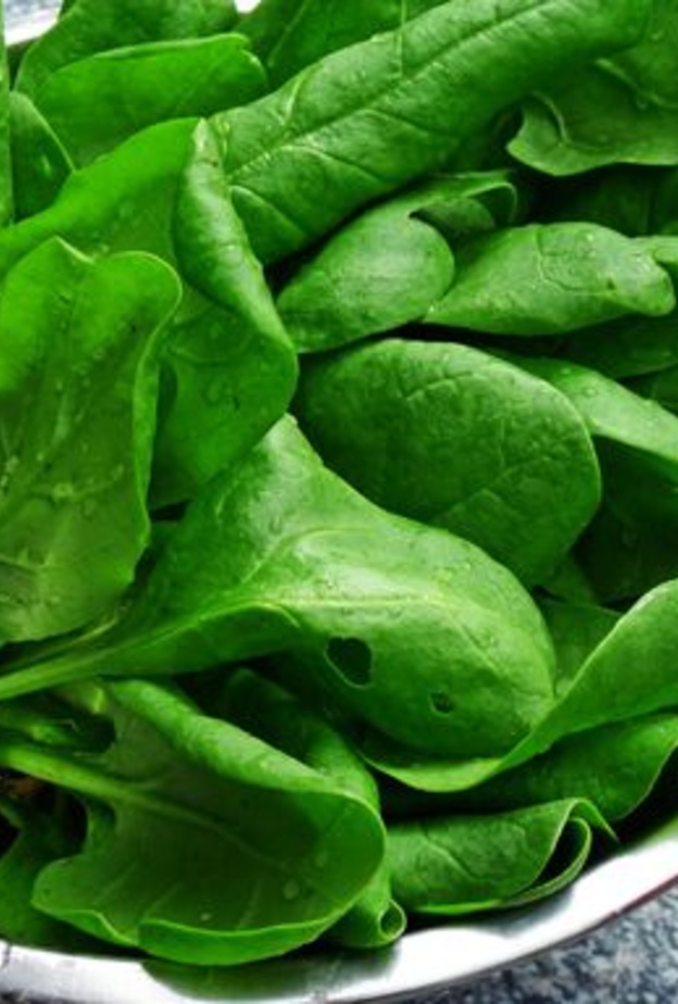 السبانخ و الورقيات الخضراء مهمة لتقوية الدم