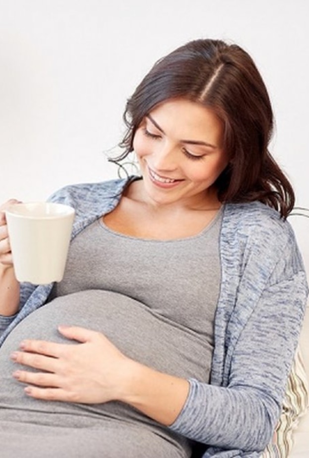 فوائد السدر المطحون للحامل 