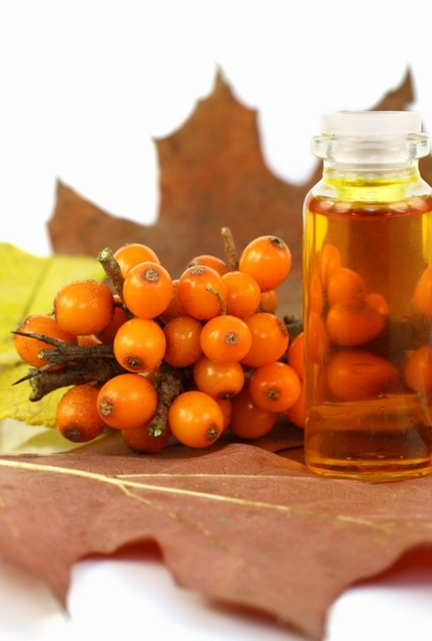 السدر يرفع من مناعة الجسم