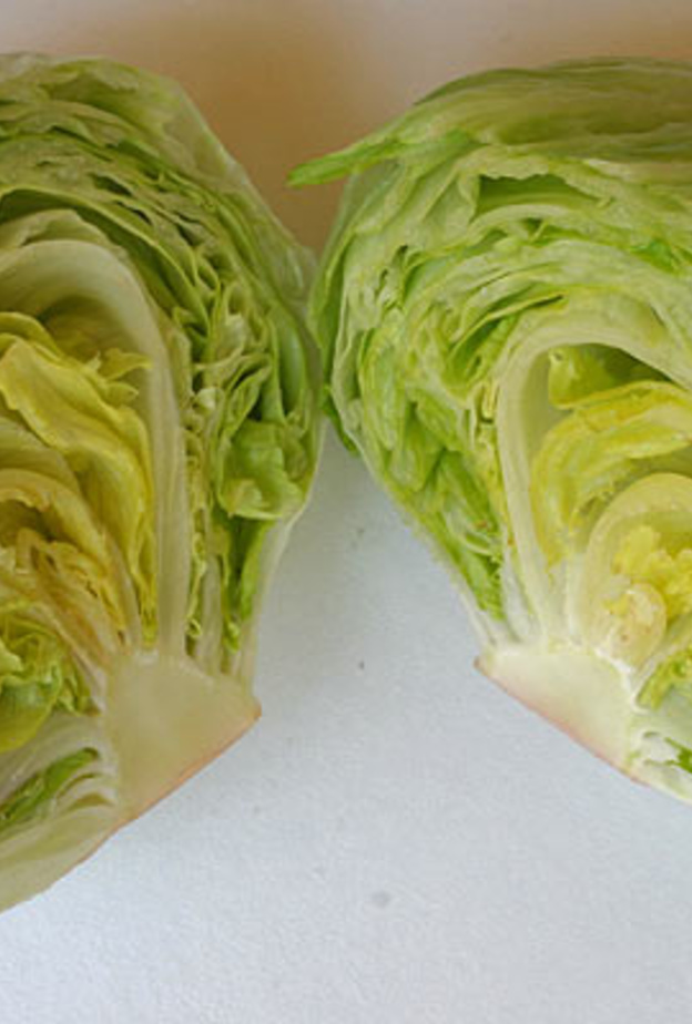 فيديو..خليجية تكشف طريقة بسيطة لإكتشاف الديدان في الخس 