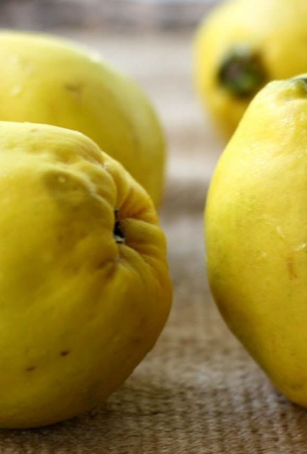 السفرجل يرفع من مناعة الجسم