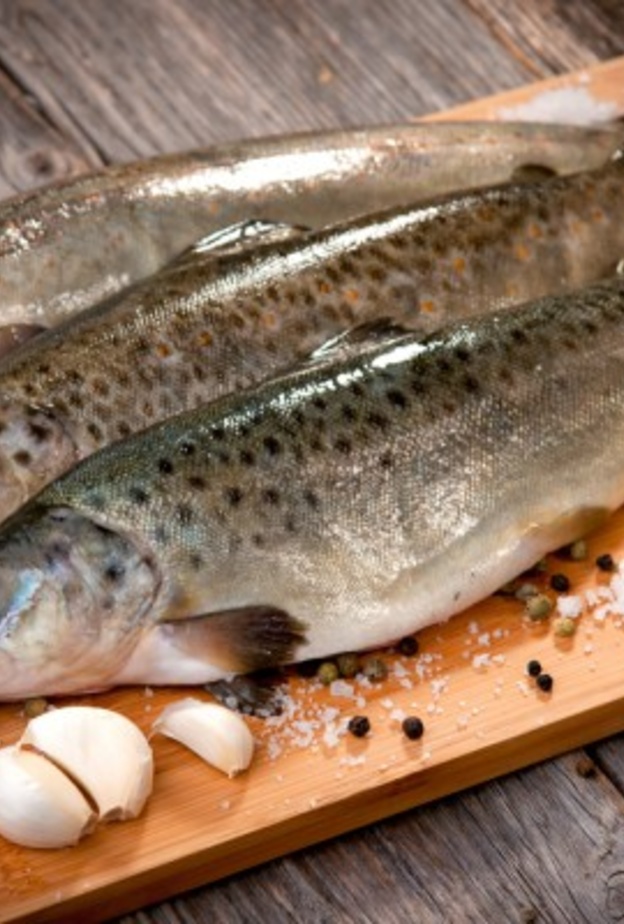 السمك مفيد لصحة المفاصل