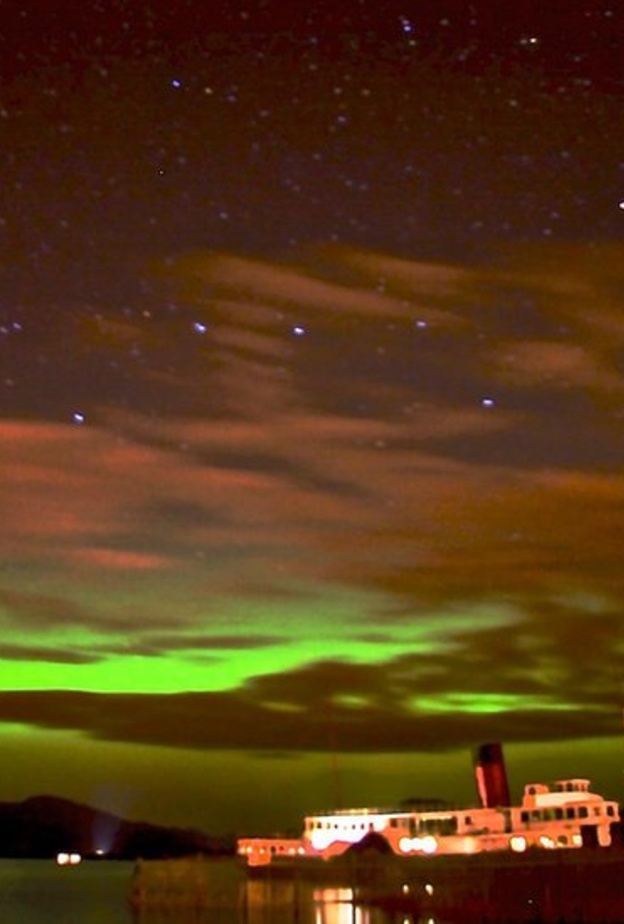 من منتزه غالواي فورست.. عالم من الرومنسية