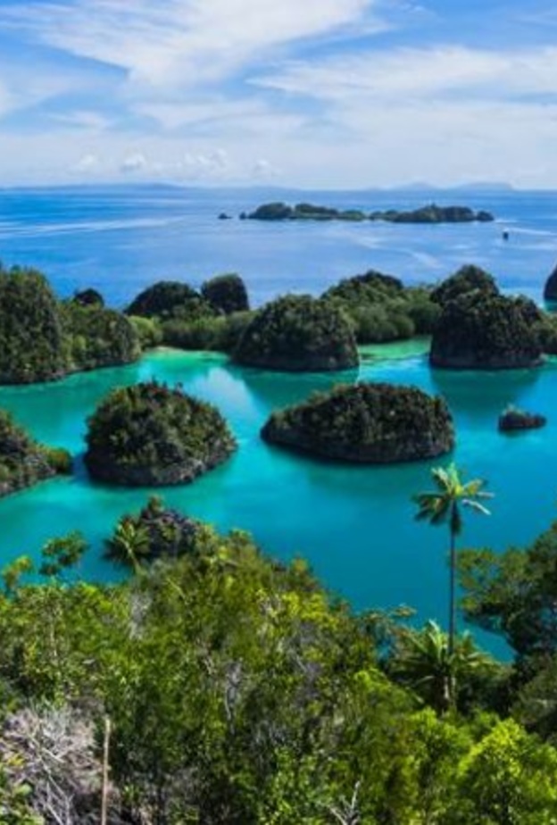 جمال الطبيعة في كومودو