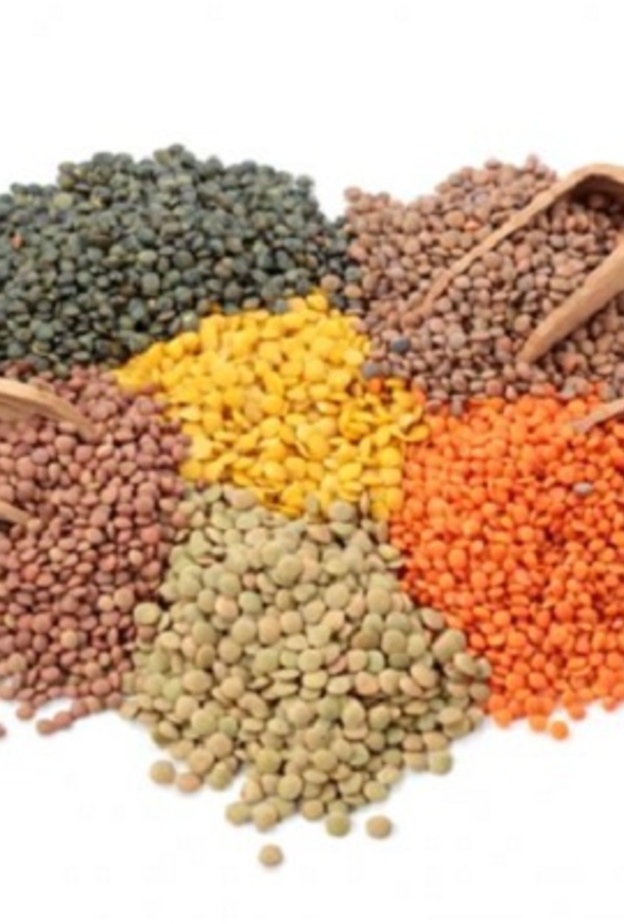 العدس من أهم أنواع البقوليات و أكثرها صحية
