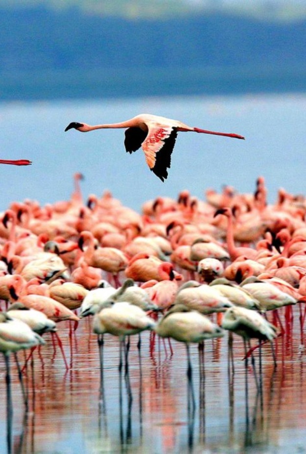 سحر الطبيعة في زنجبار