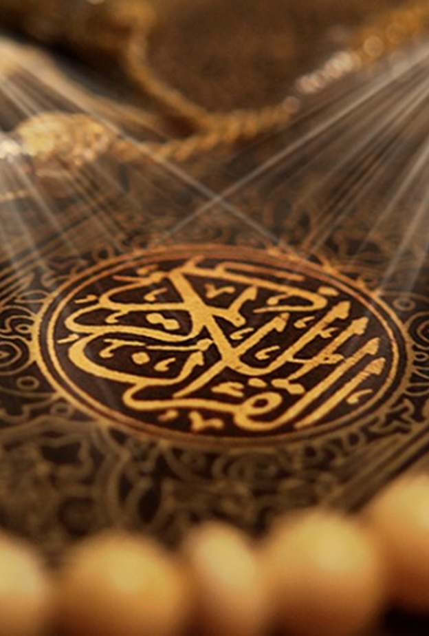 فيديو: استقبال حافل من أسرة سعودية لابنتهم بعد إتمامها حفظ القرآن