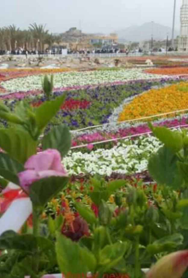 لقطة قبل إفتتاح مهرجان ورود الطائف.