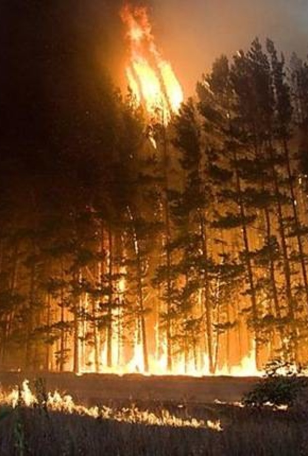 وضع المتهم الرئيسي قيد الإقامة الجبرية