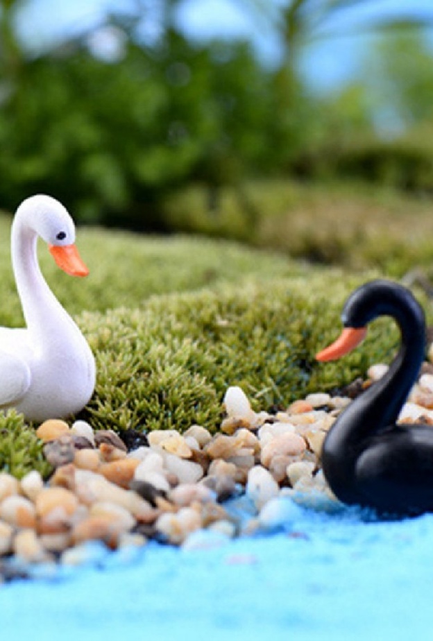 اضيفي المجسمات الصغيرة حول مياه الحديقة 