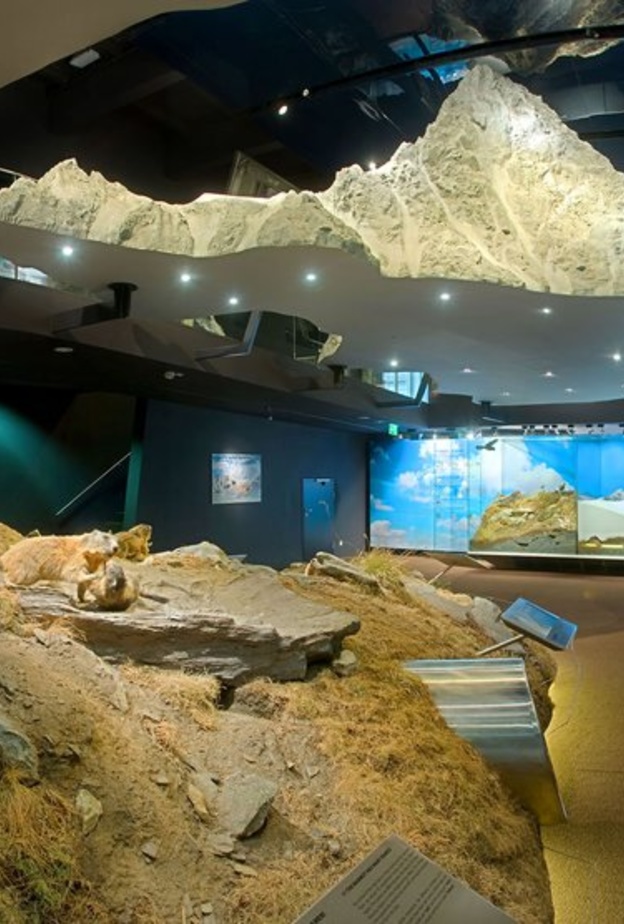 قلعة روزنبورغ