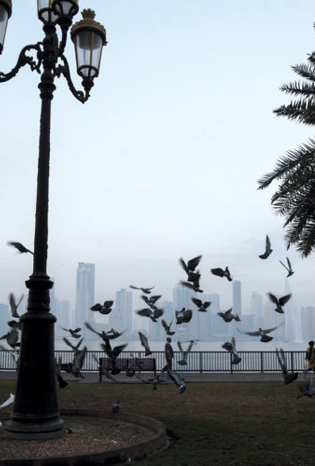 طقس بارد وامطار في الأيام المقبلة بالإمارات