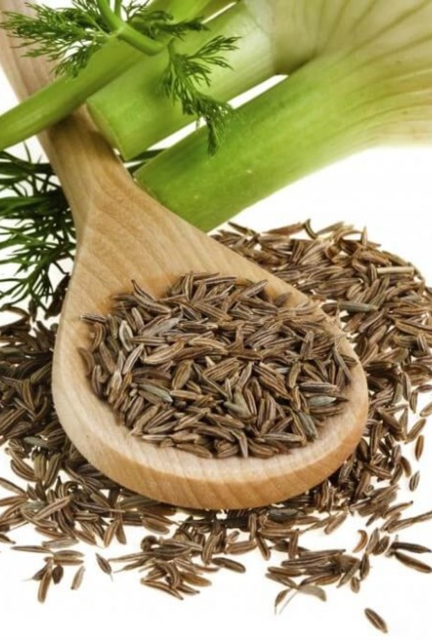  بذور الشمر فعالى في تقوية مناعة الجسم