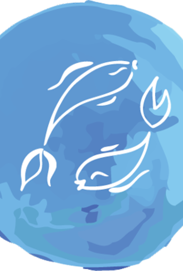 مولود برج الحوت هو الاكثر رومانسية واهتماماً بشريكته