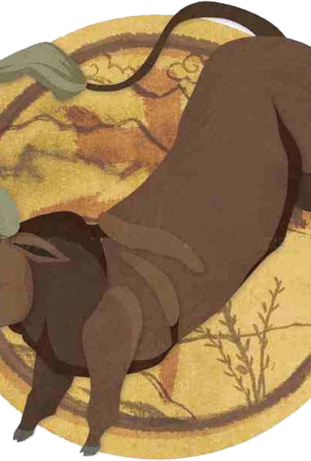 يتسم مواليد برج الثور في الابراج الصينية باللطافة والمحبة