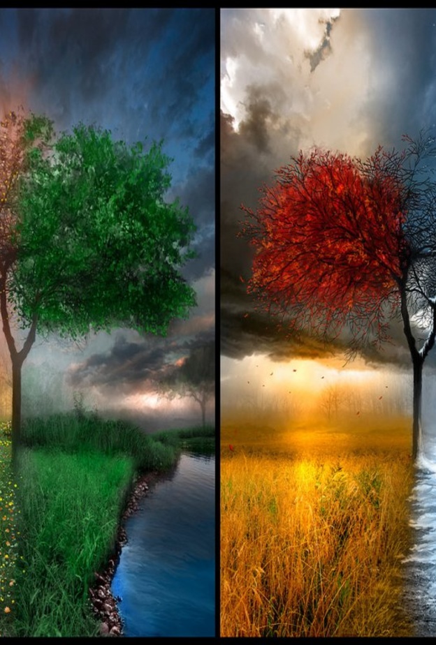  تأثير الفصول الأربعة على الحالة المزاجية أمر مثبت علميا