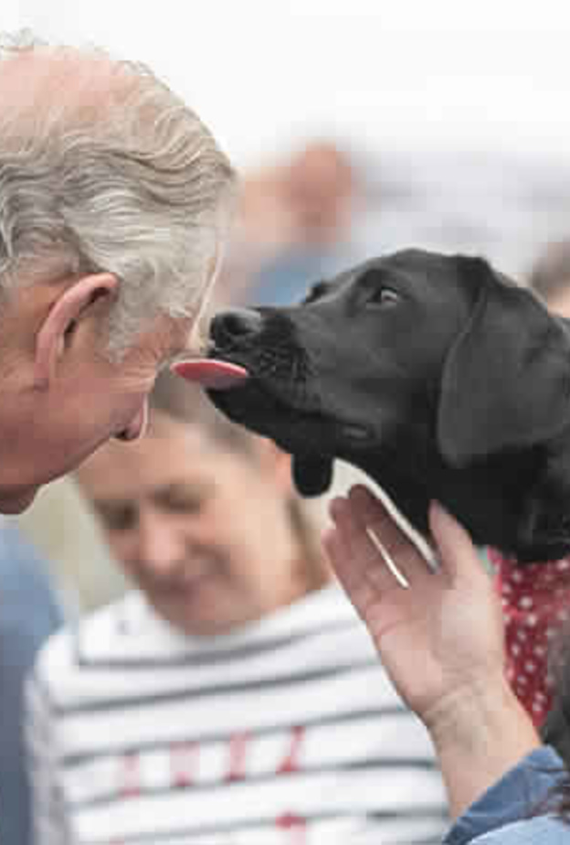 مهام رسمية للأمير تشارلز و دوقة كورنوال