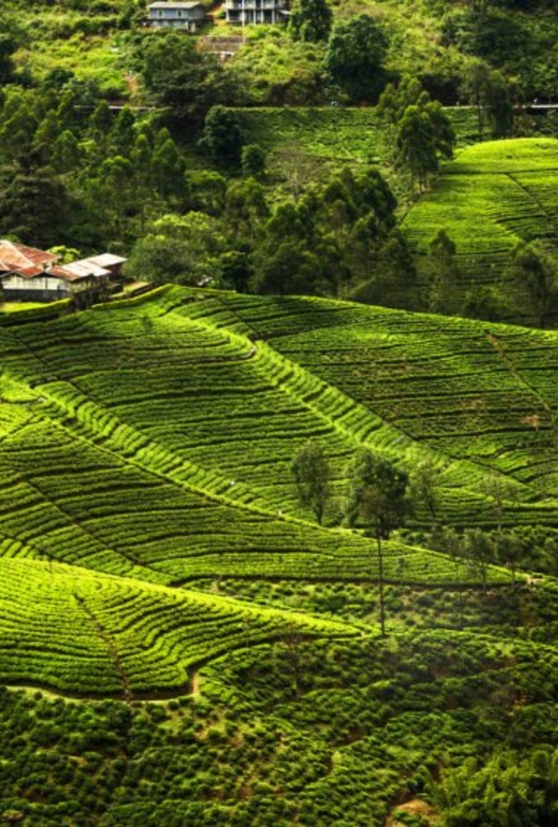  تعد واحدة من أفضل البلدان السياحية في منطقة جنوب آسيا