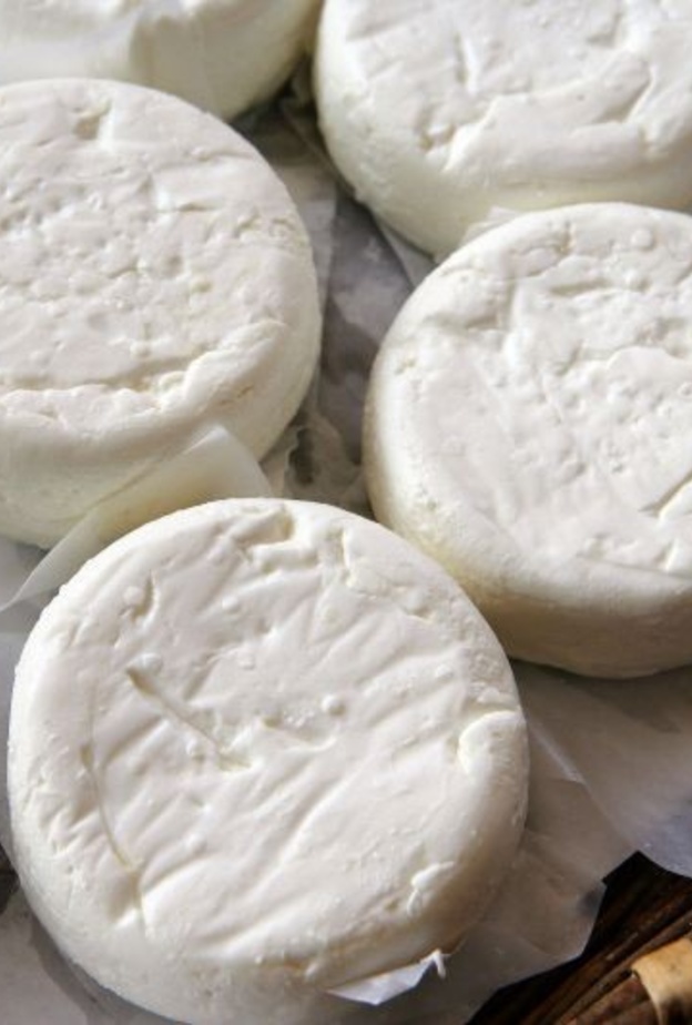  جبن الماعز يعزز مناعة الجسم