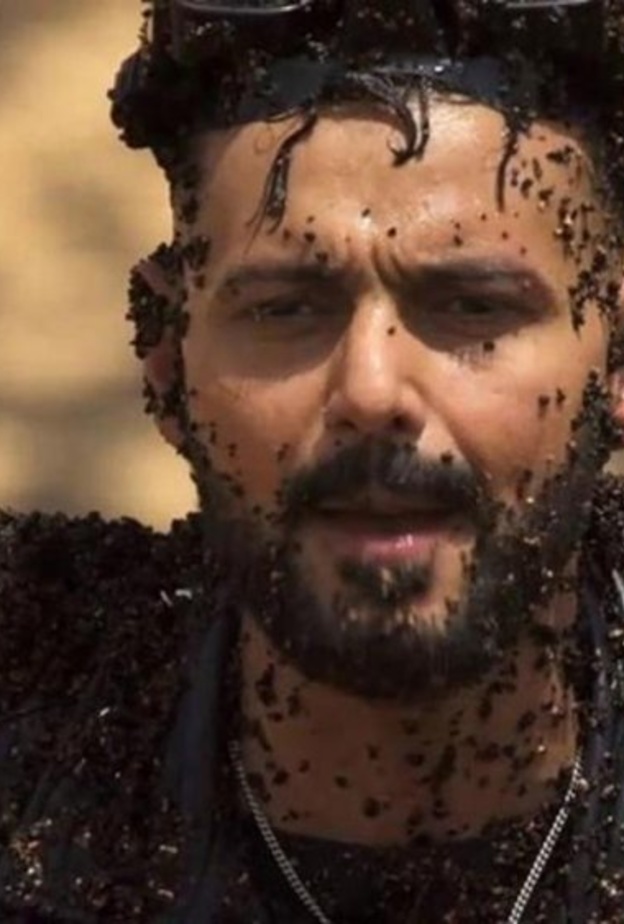 رامز جلال 2017