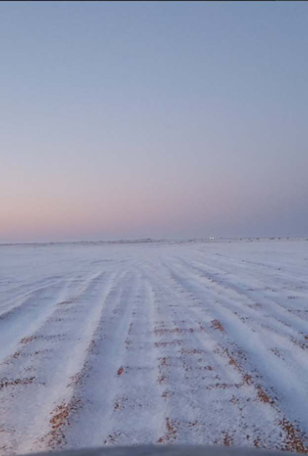 فيديو..قطار "سار" السعودي يشق طريقه وسط الثلوج
