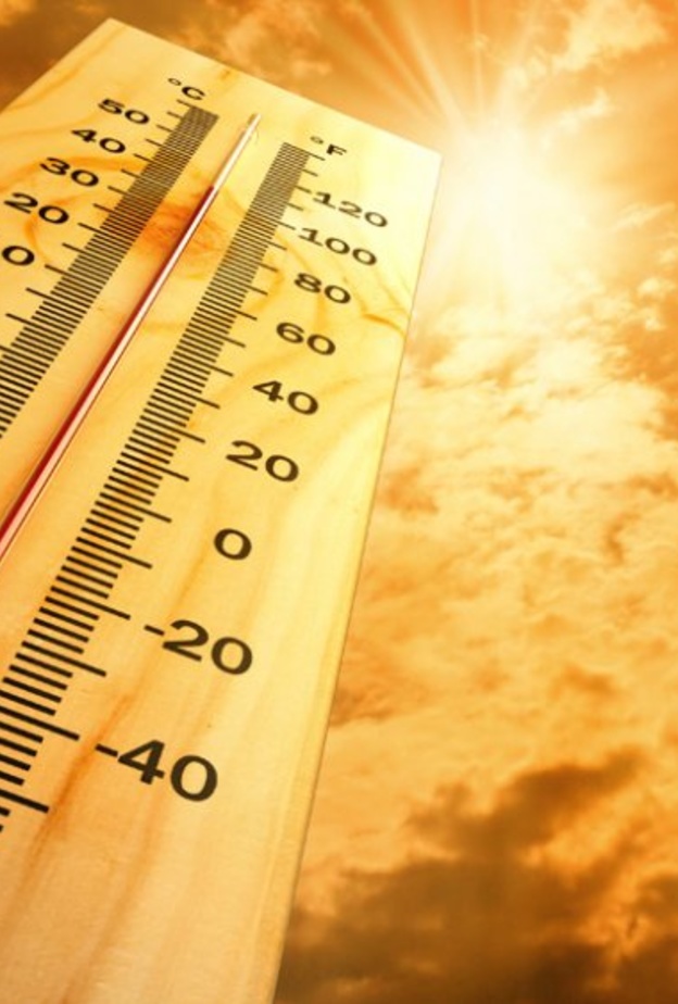 حرارة الطقس في فصل الصيف في السعةدية تسبب الأمراض الجلدية