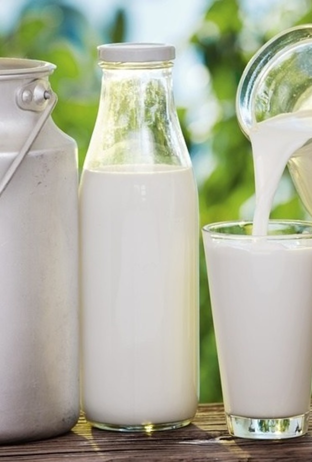 حليب الماعز يعزز مناعة الجسم