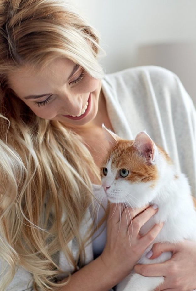 العروس التي تربي قطط تعرفي على داء المقوسات قبل الزواج