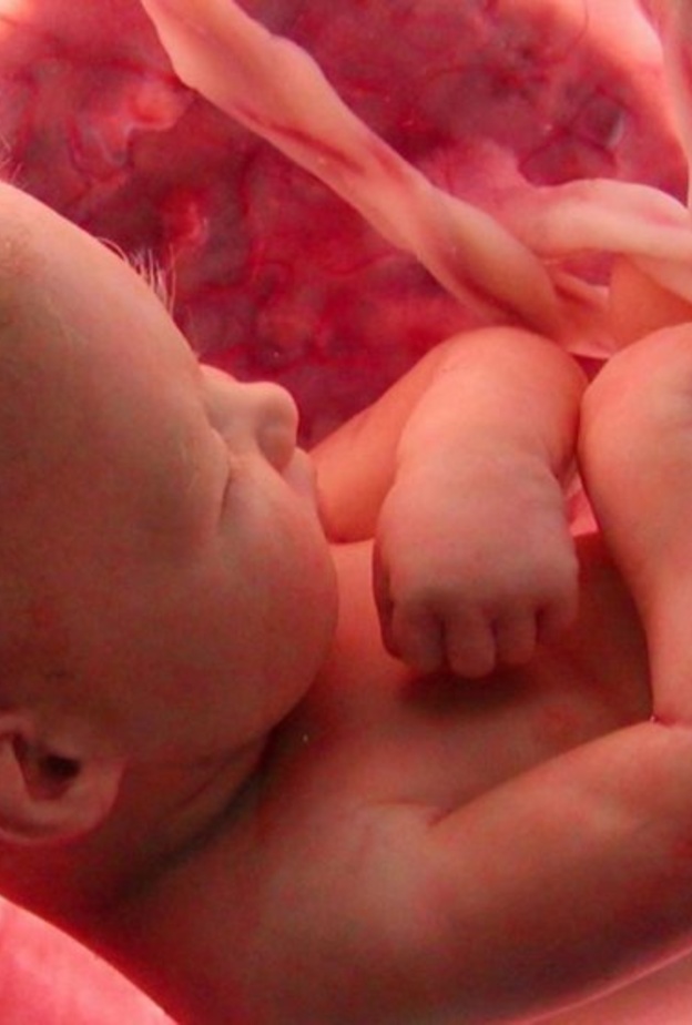 ولادة طفل خالي من العيوب الخلقية تبدأ قبل الحمل