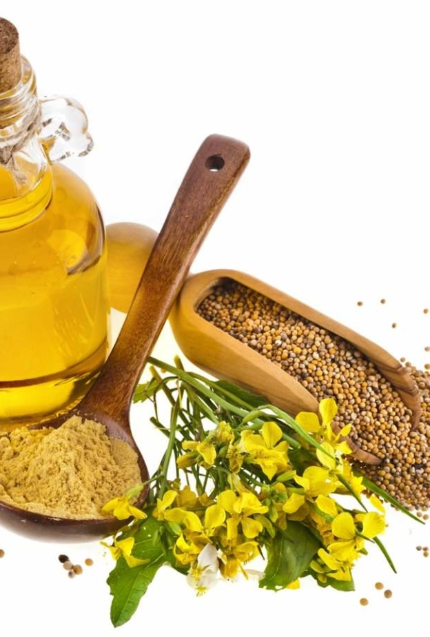 زيت الخردل يرفع من مناعة الجسم