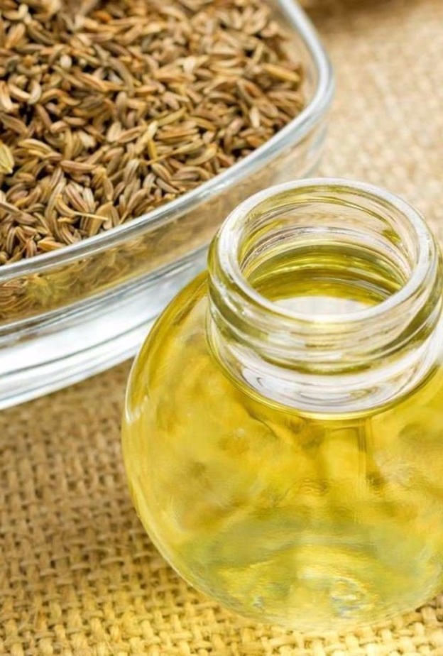 زيت الشمر يطرد سموم الجسم