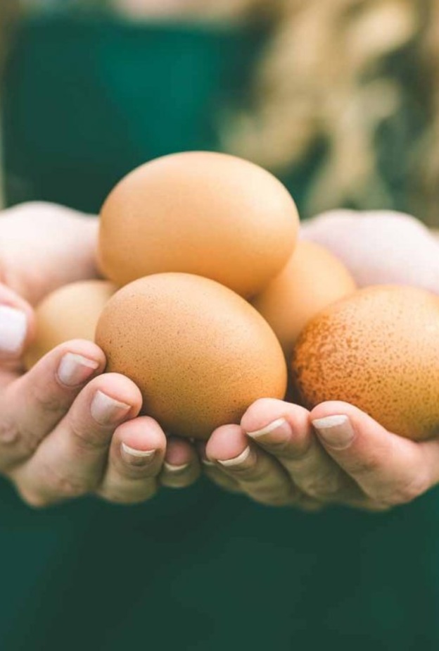 أهم طرق شراء البيض وحفظه وتحضيره 