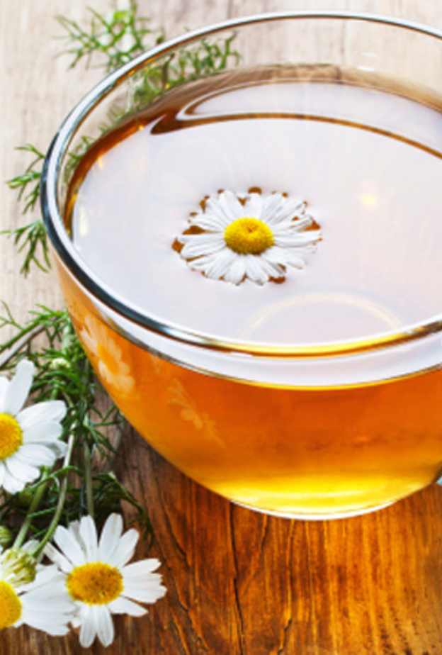 عشبة البلبونج تعالج نقص الحديد