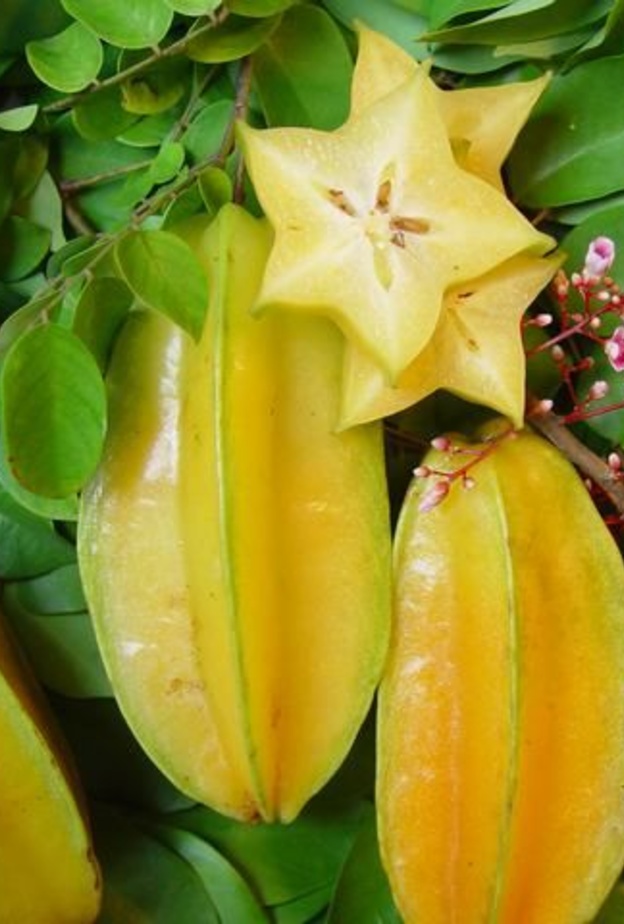 فاكهة الكرامبولا تعالج مرض السكري والكوليسترول