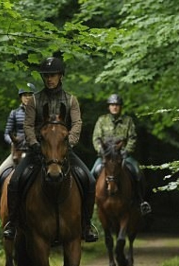 الأميرة ماري ظهرت بملابس أنيقة لركوب الخيل