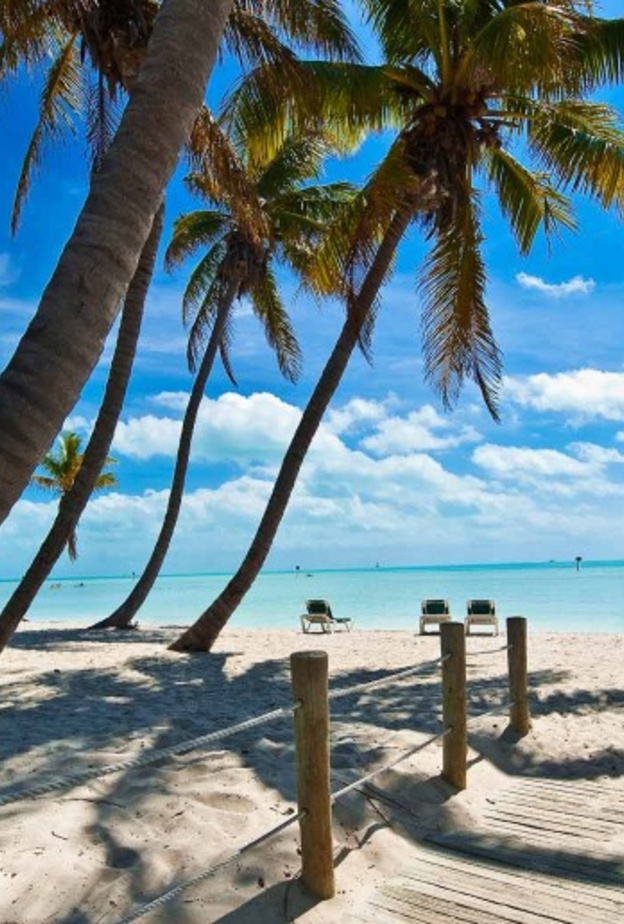 منتجعات راقية في هاواي