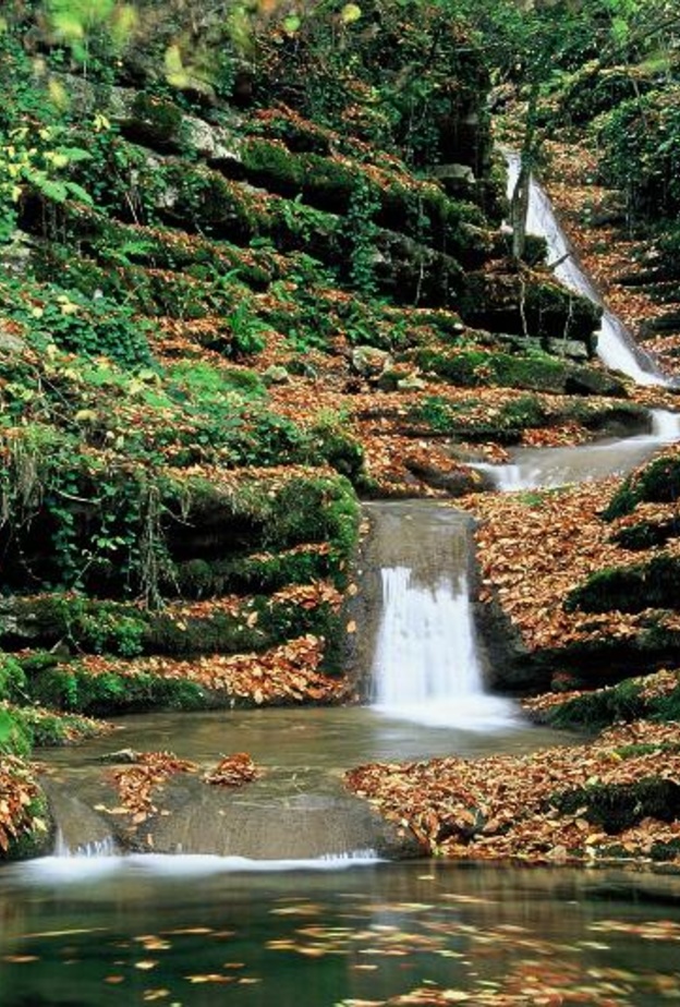 الطبيعة في سينوب