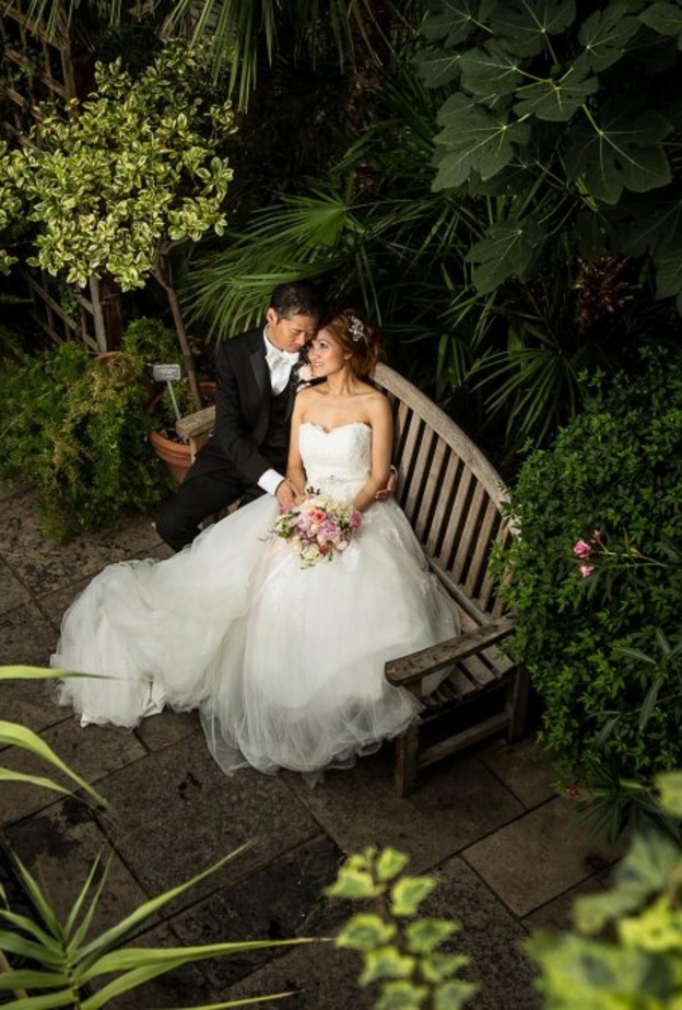 لقطات لتصوير العرسان بين الاشجار الجميلة