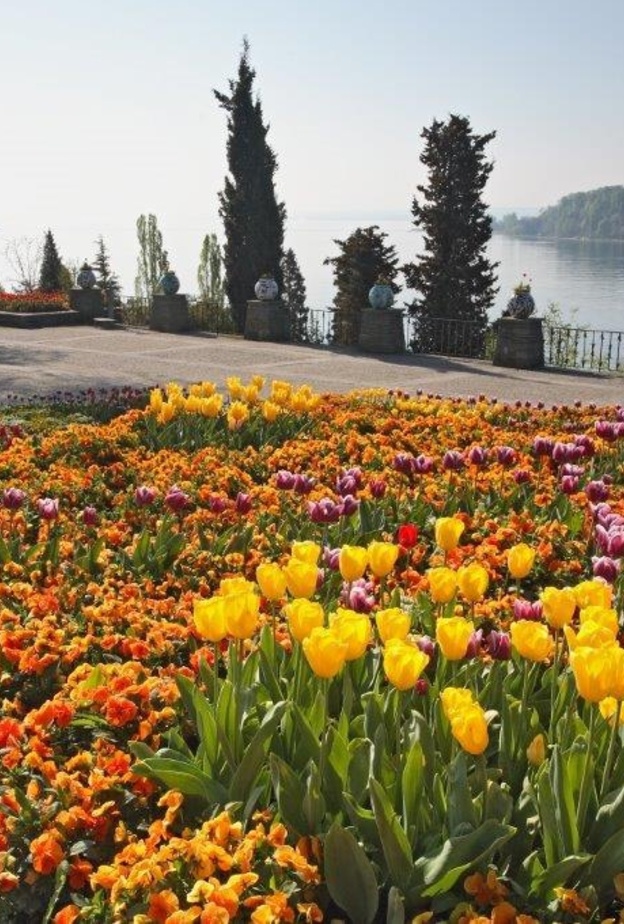 جزيرة مايناو