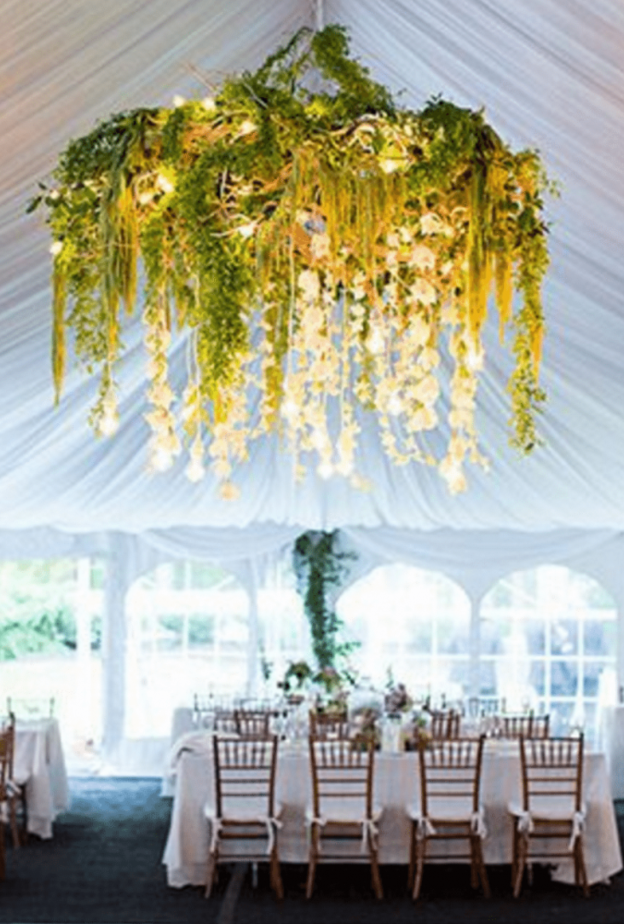 جمع ساحر بين الورود و الستائر لزينة سقف حفل الزفاف