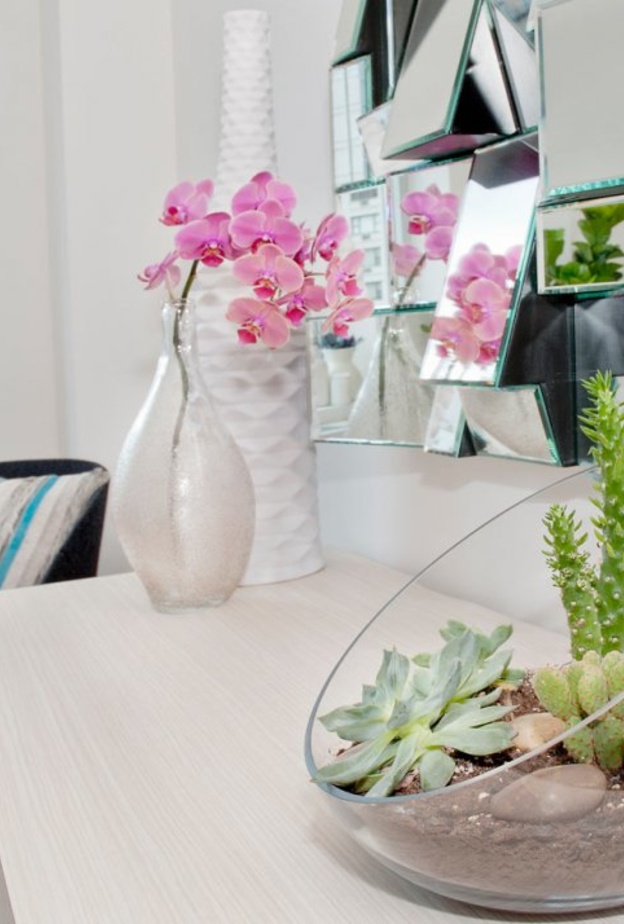 أحواض نباتات شوكية تستخدم في ديكور غرف تعشق الطبيعة